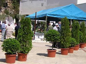 NIMES JEUDI 05 MAI 2005 ELISABETH ASENCIO 038